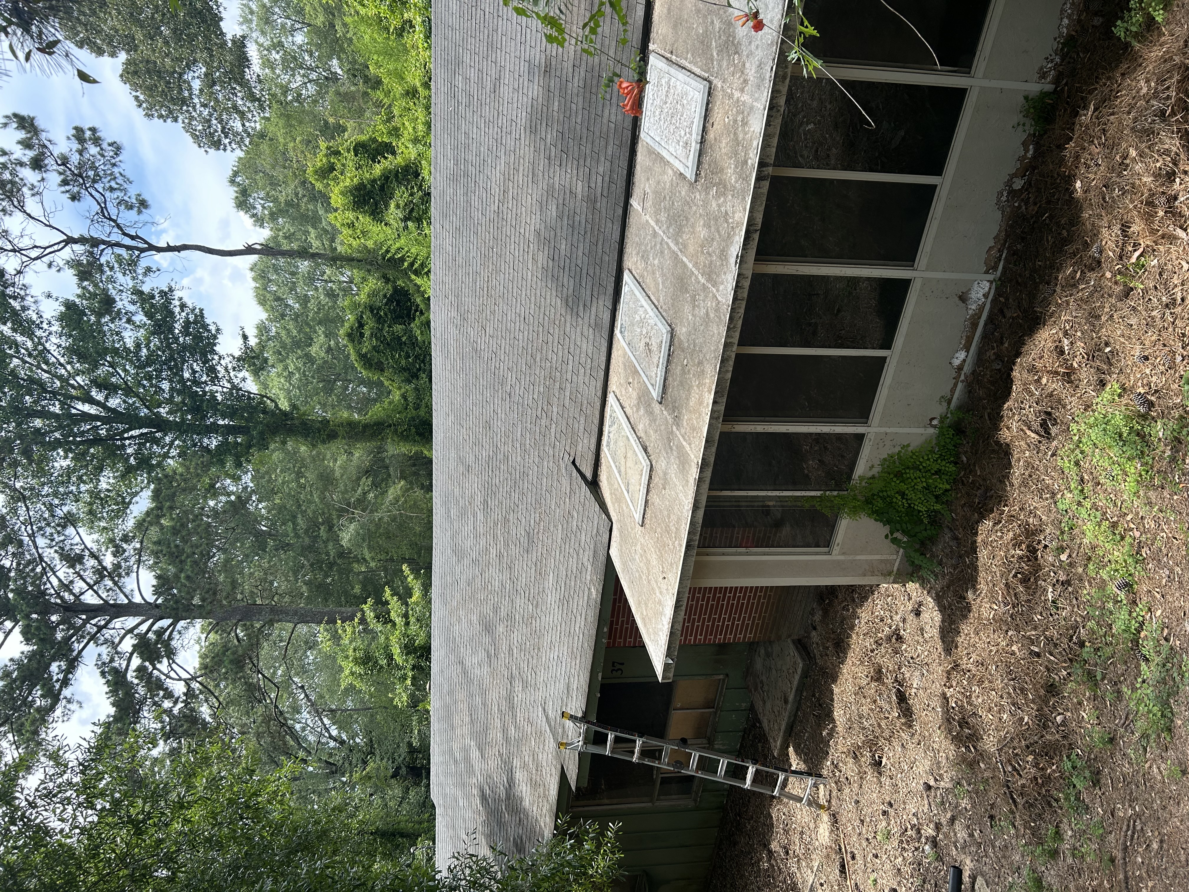 After Roof Cleaning