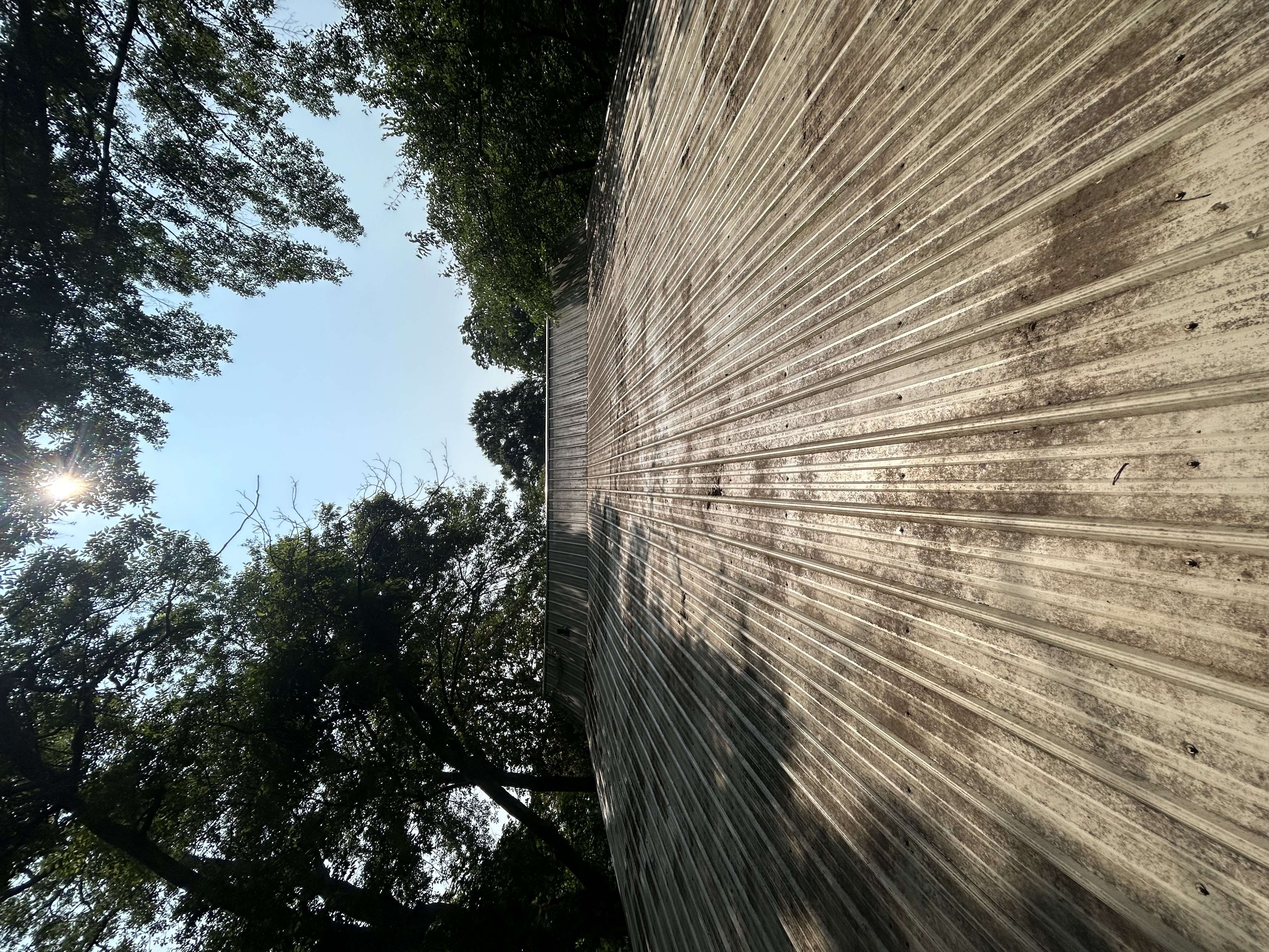 After Roof Cleaning