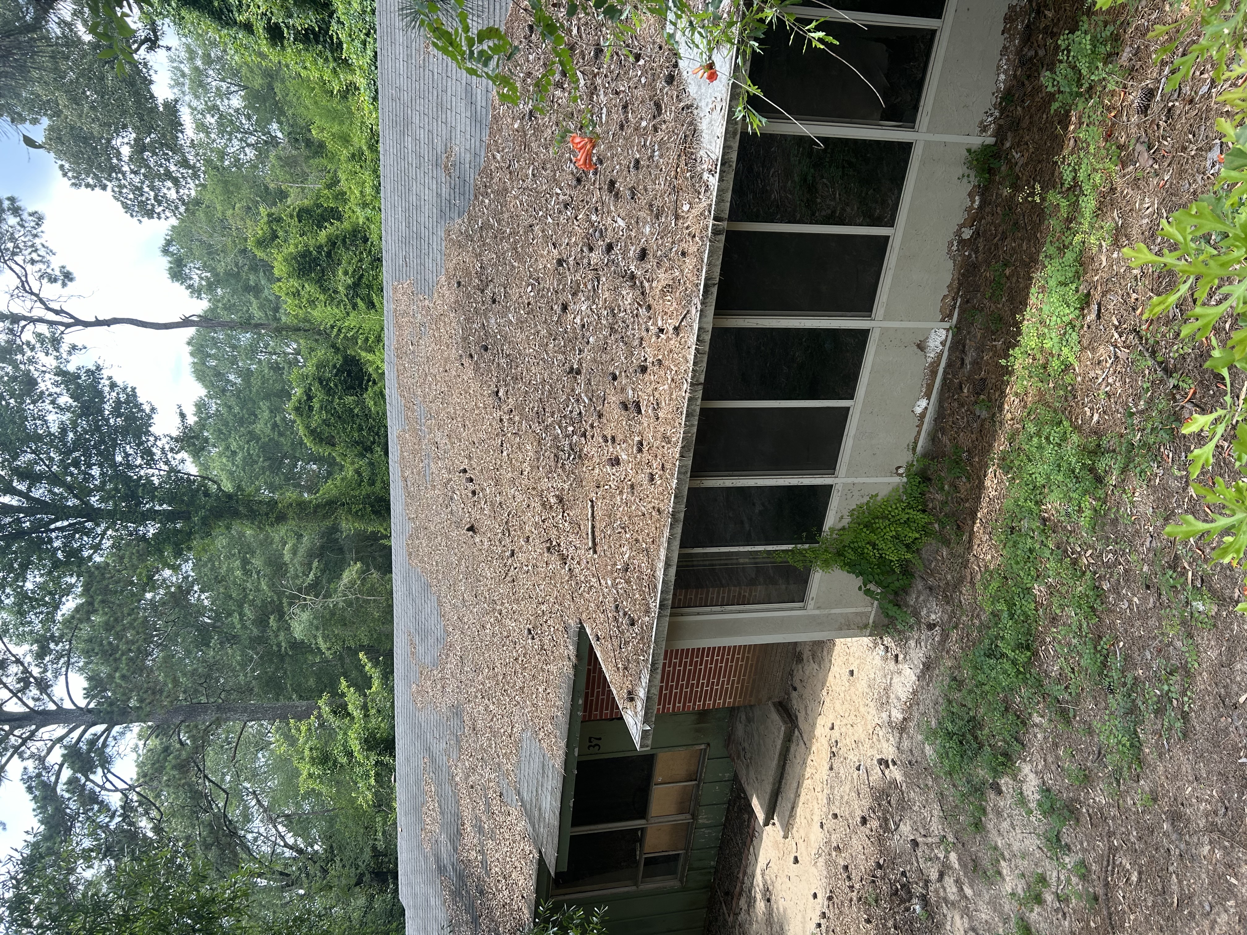 Before Roof Cleaning