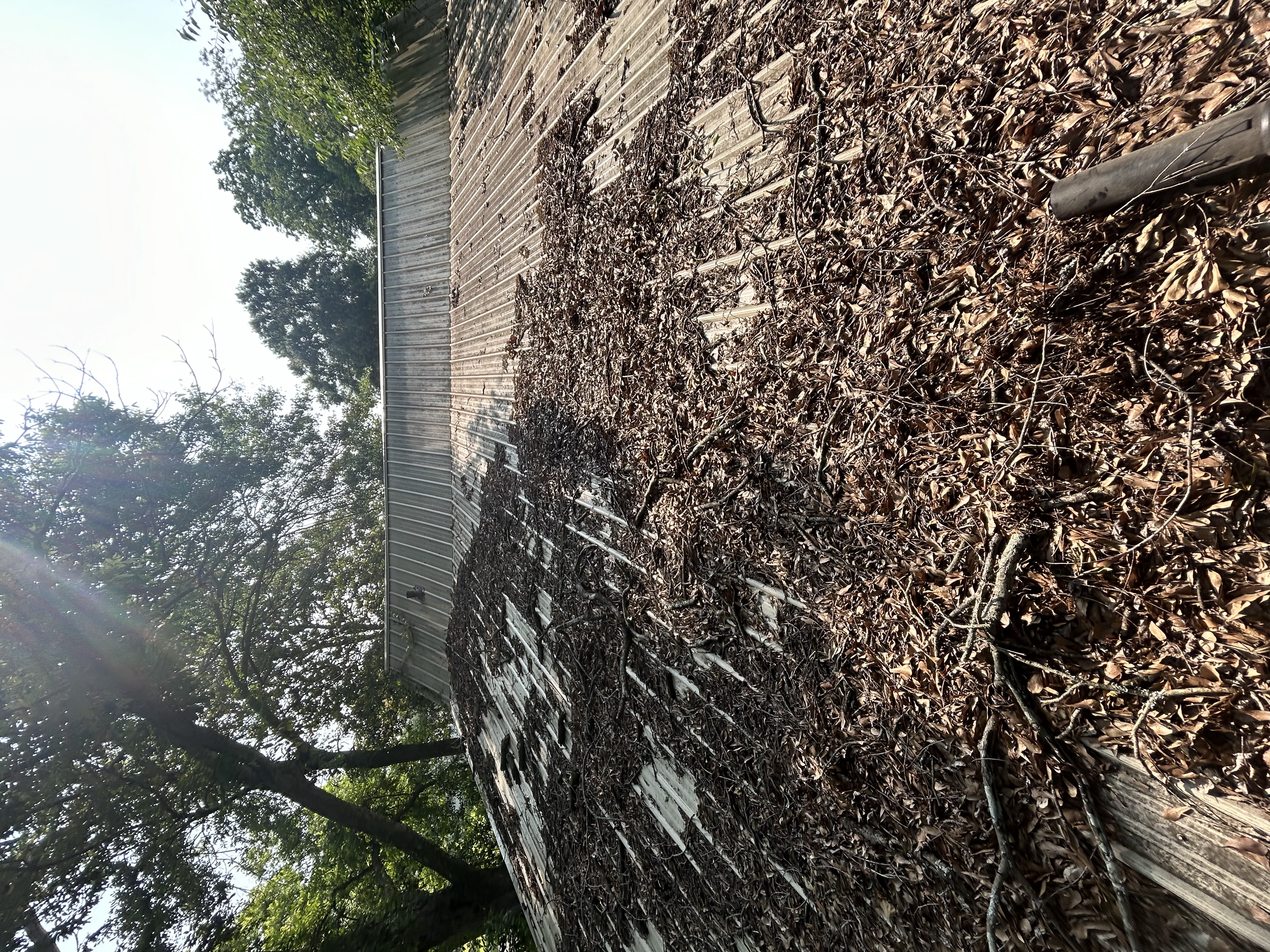 Before Roof Cleaning
