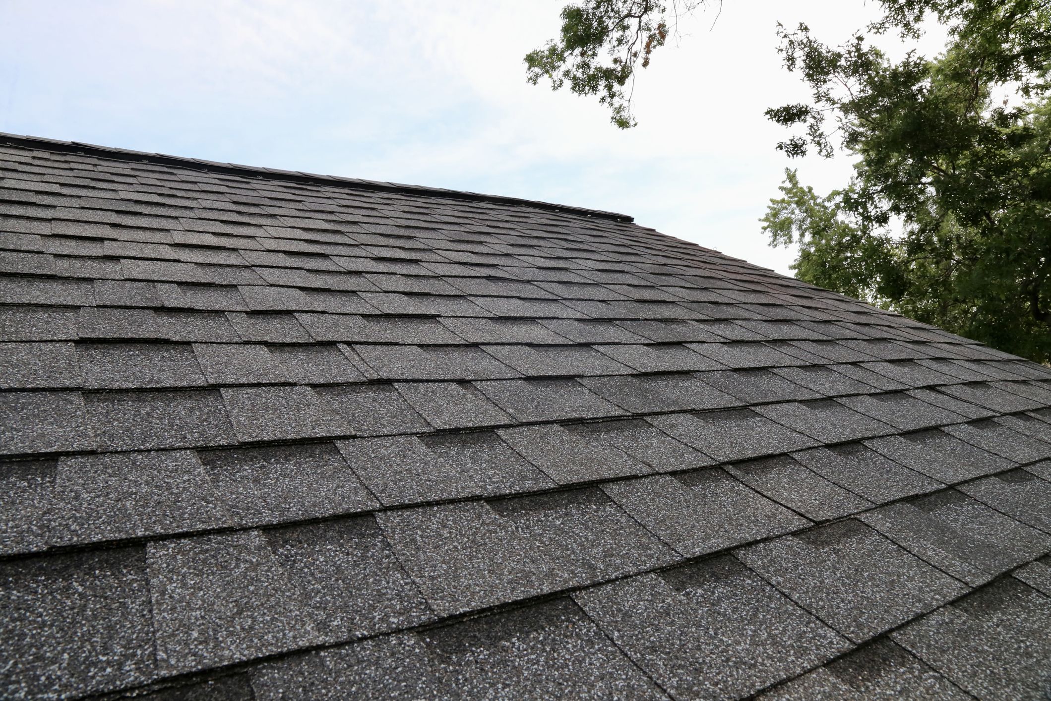 Roof Shingles